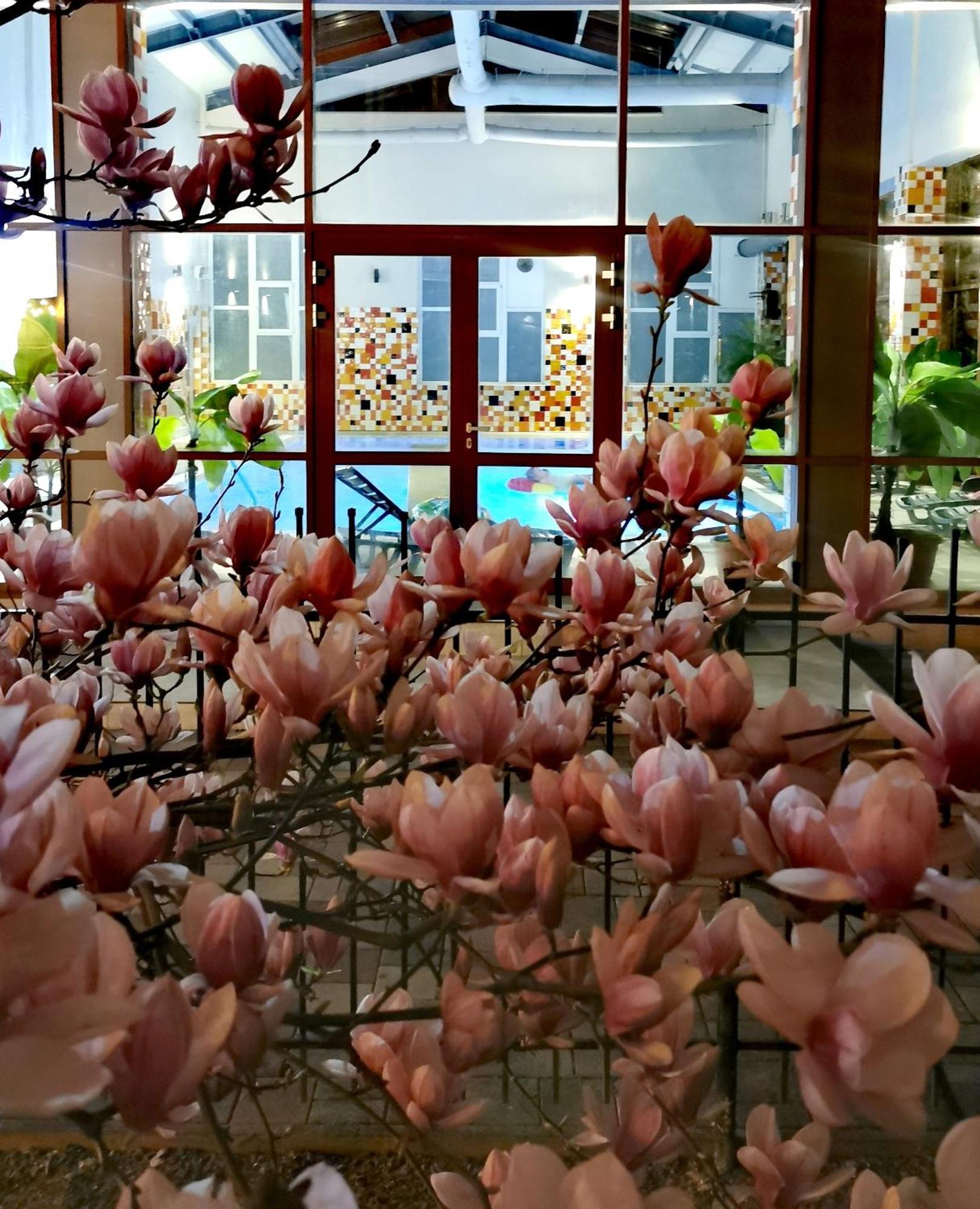 Metropol Hotel Baile Felix Ngoại thất bức ảnh